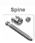 spine